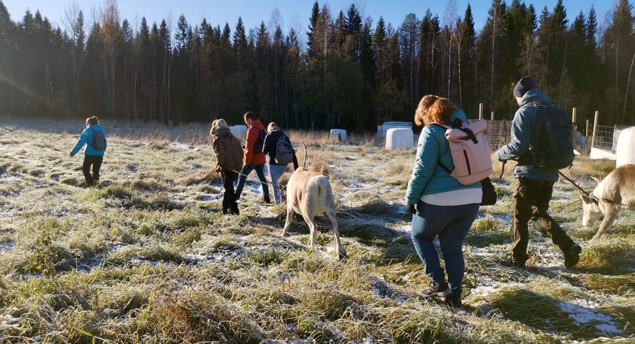 Bezoek rendierherder